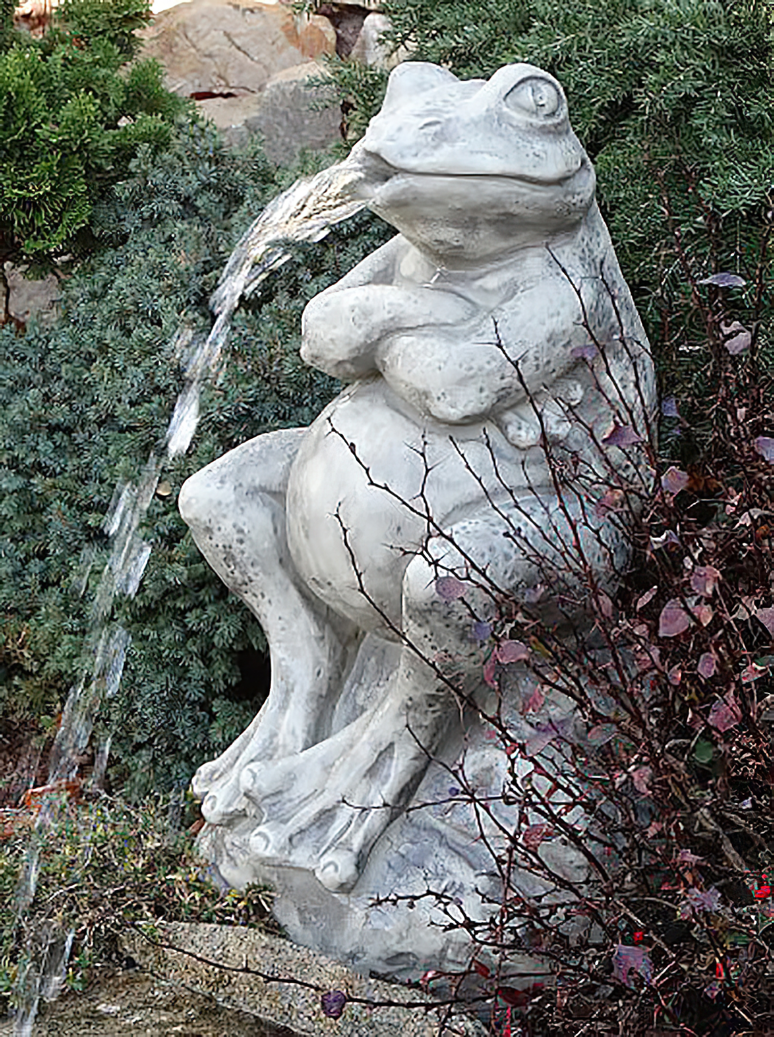 Grenouille en fonte assise comme gargouille - Alonso