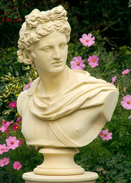 Buste grec - Apollo Epikurios / Gris pierre