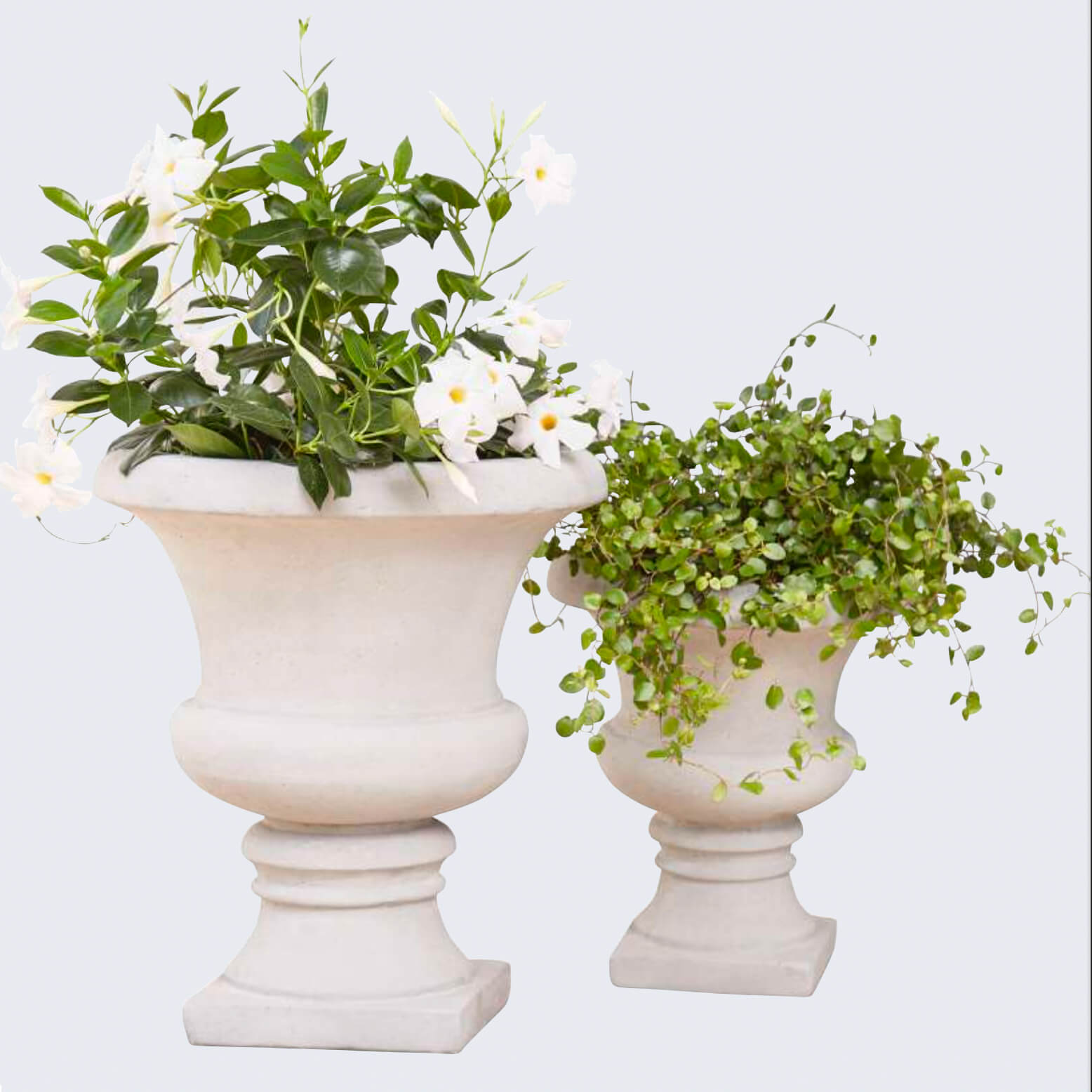 Elégante amphore à plantes en béton de fibre de verre - Asali / 53x46cm (HxDm)