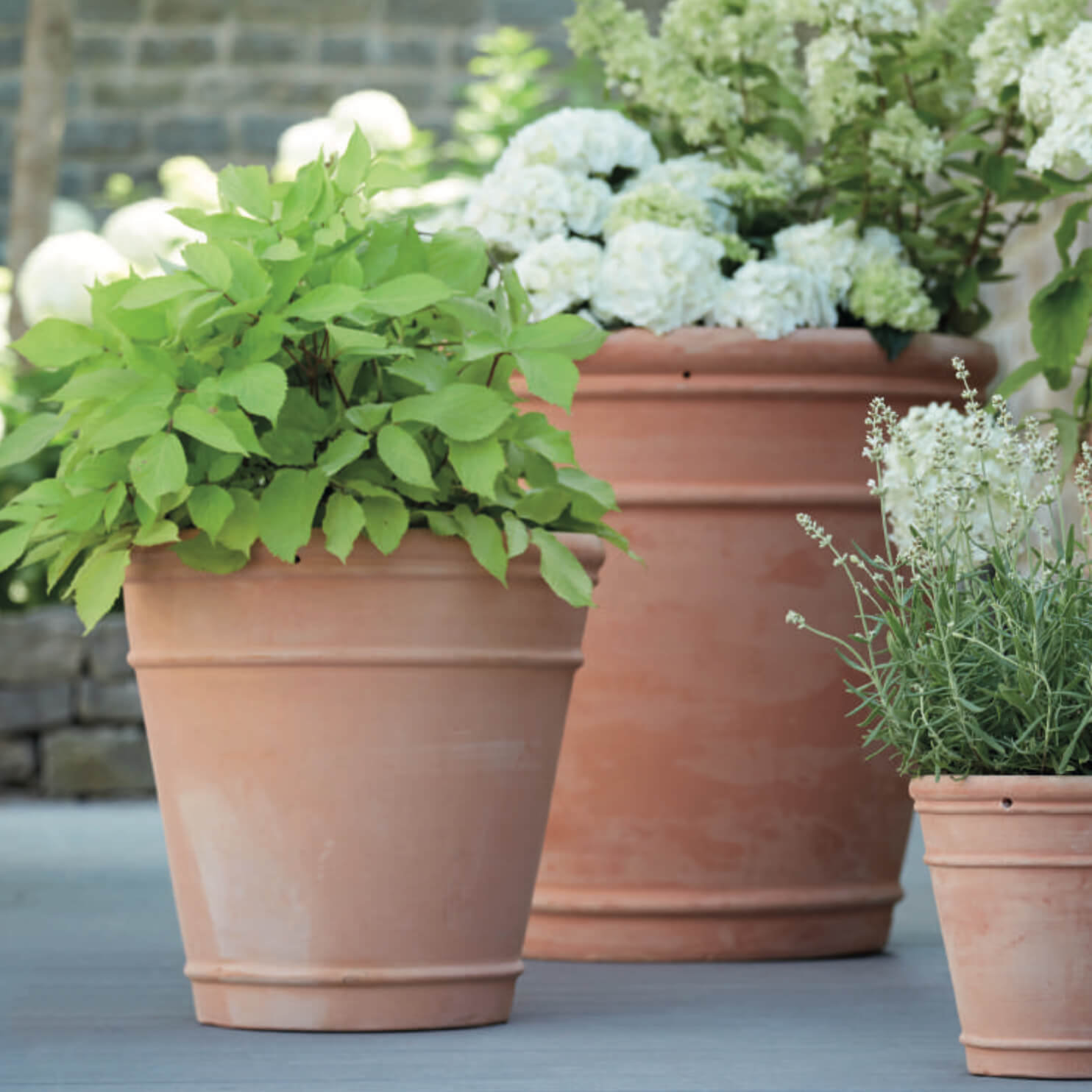 Set de 5 pots à plantes - Terracotta - Round - Amabilia