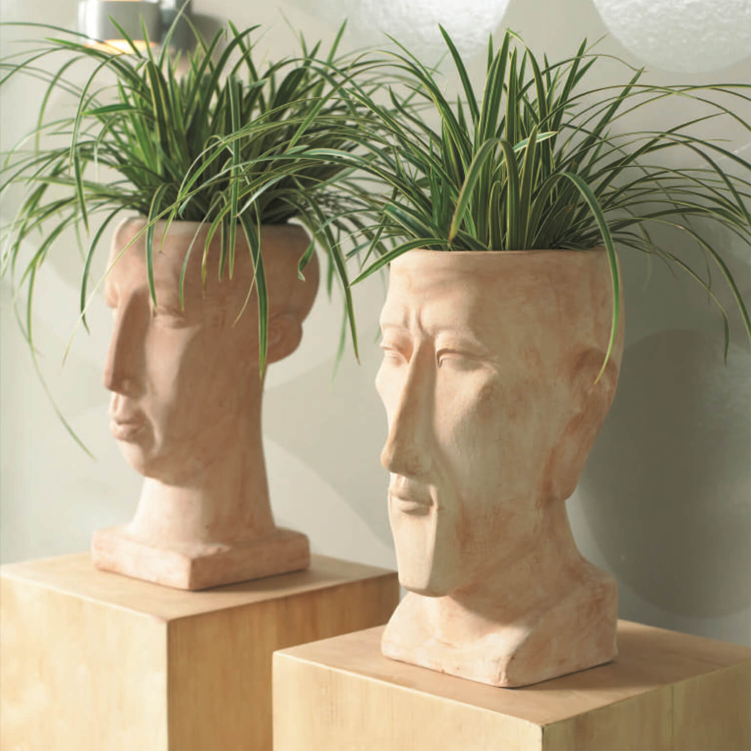 Buste à planter - Homme - Terre cuite - Nio