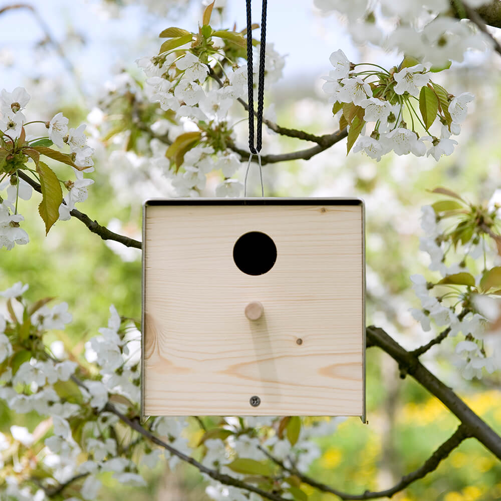 Nichoir design pour oiseaux en bois & inox - Ganymède / Rose