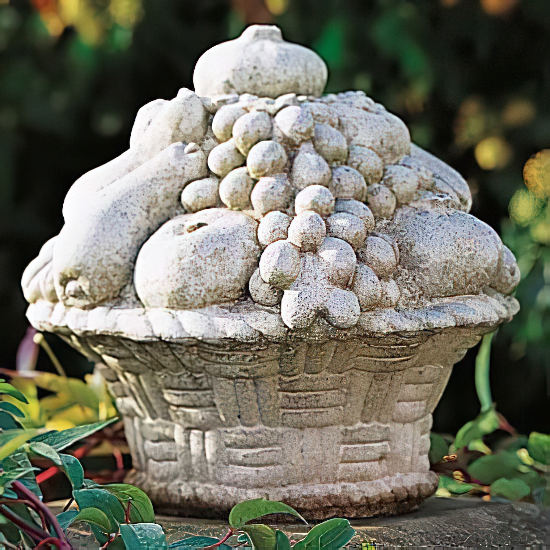 Pierre Corbeille à fruits pour le jardin / Terre cuite